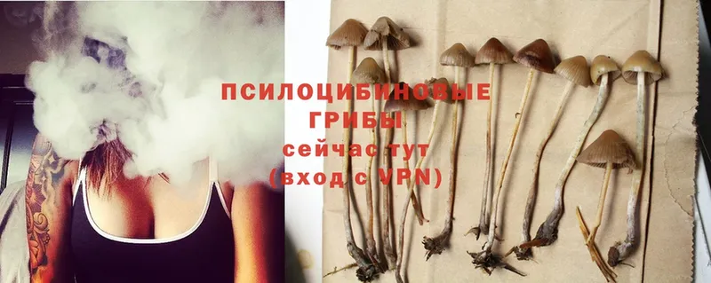 Галлюциногенные грибы Magic Shrooms  Порхов 